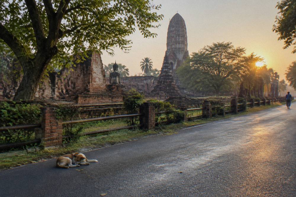 Cyclists riding a quiet road past ruined brick temple walls