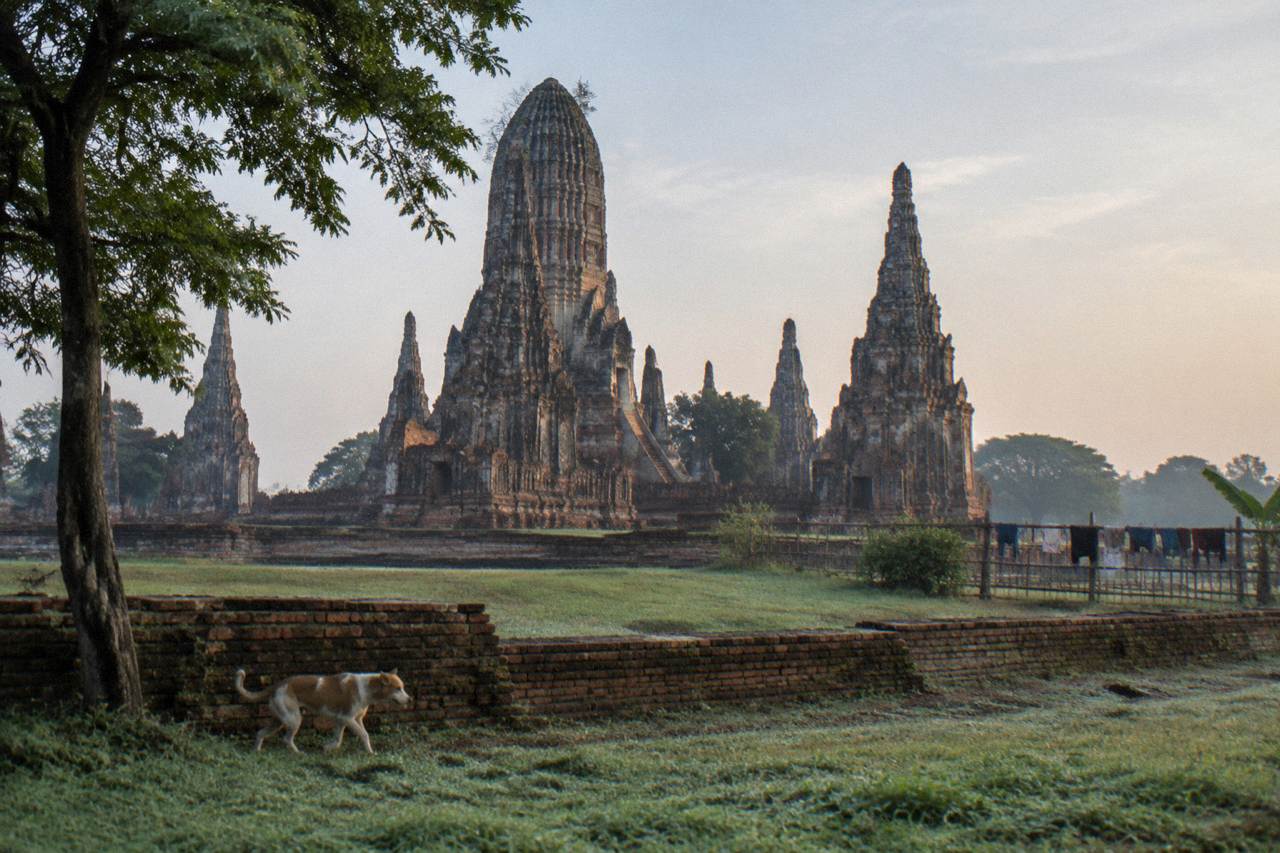 Ancient brick prangs of Ayutthaya standing in open grass under a wide sky