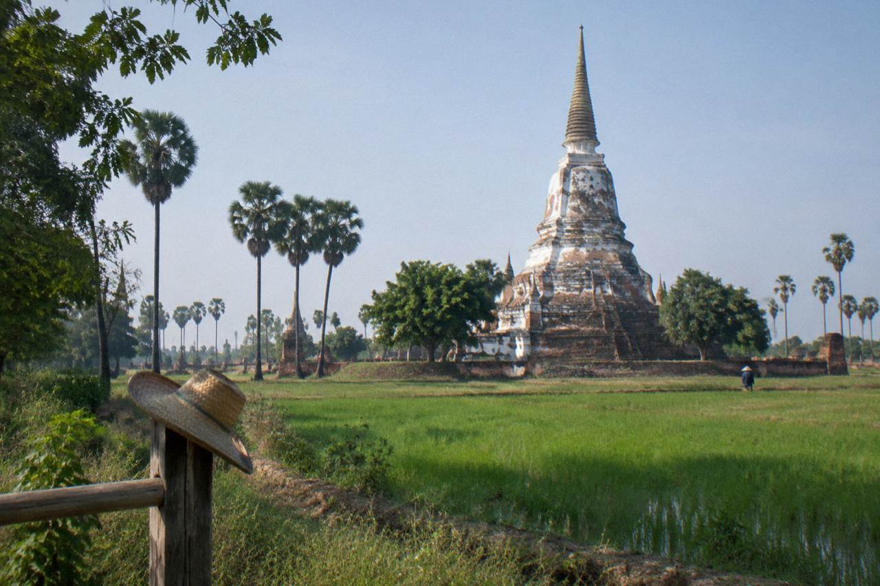 Ancient brick temple ruins and prangs of Ayutthaya Historical Park under a bright sky