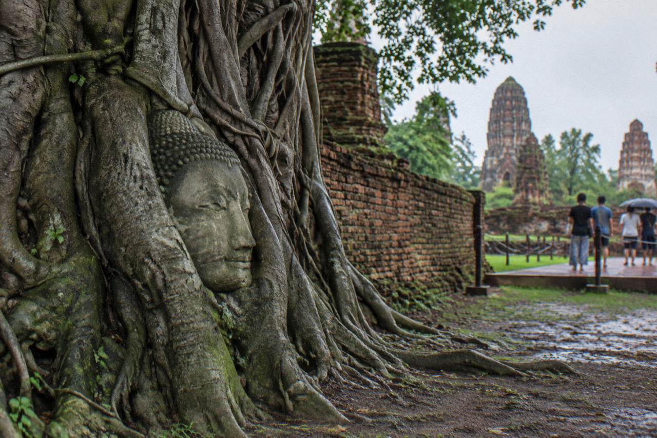 Ancient stone Buddha head held in the gnarled roots of a large tree at a ruined temple