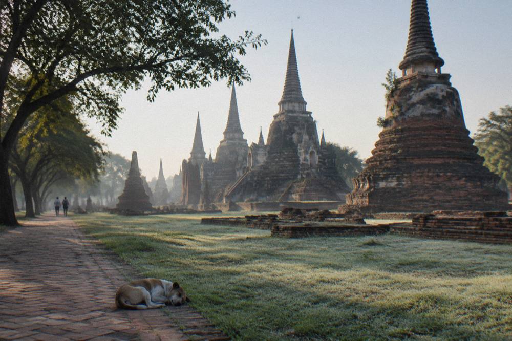 Row of brick temple ruins and stupas across open grass in morning light