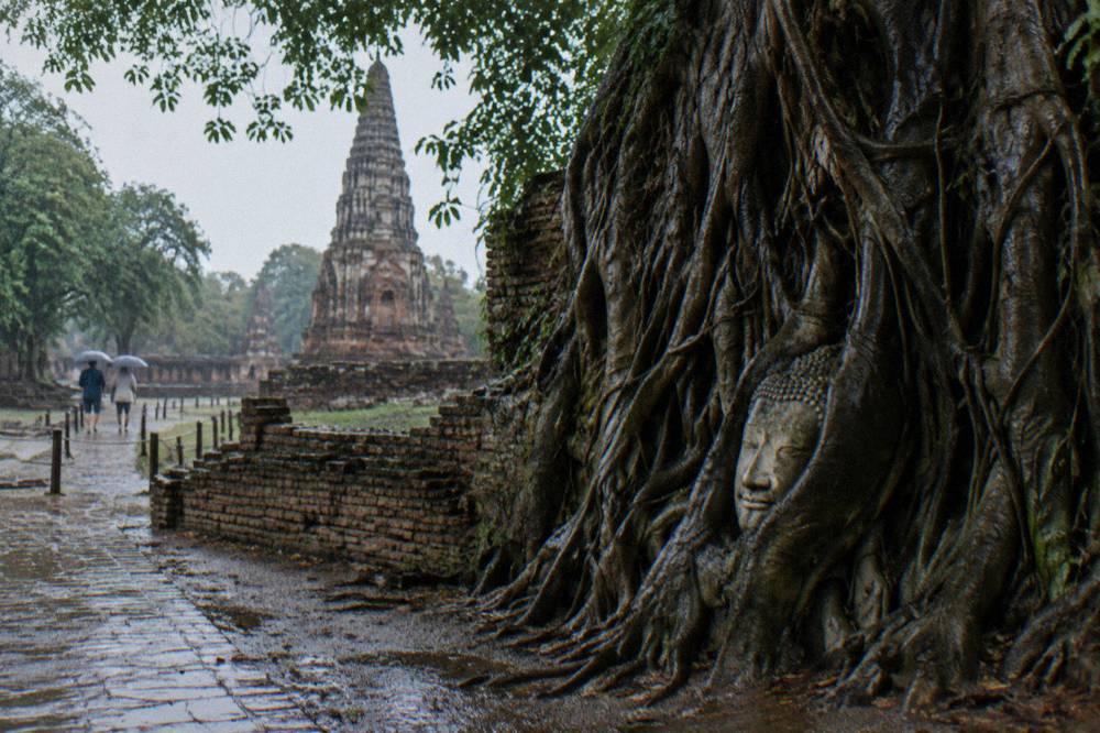 A stone Buddha head enveloped by tree roots at a ruined temple in Thailand