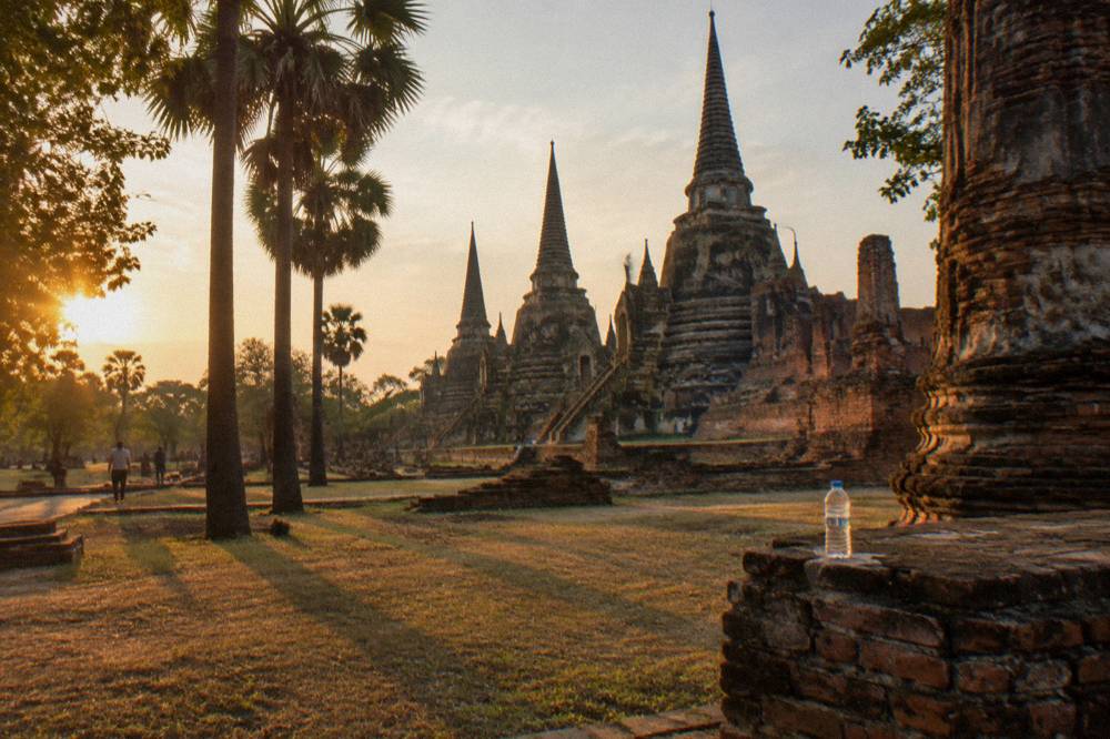 Golden late-afternoon light falling across weathered temple ruins and tall palm trees