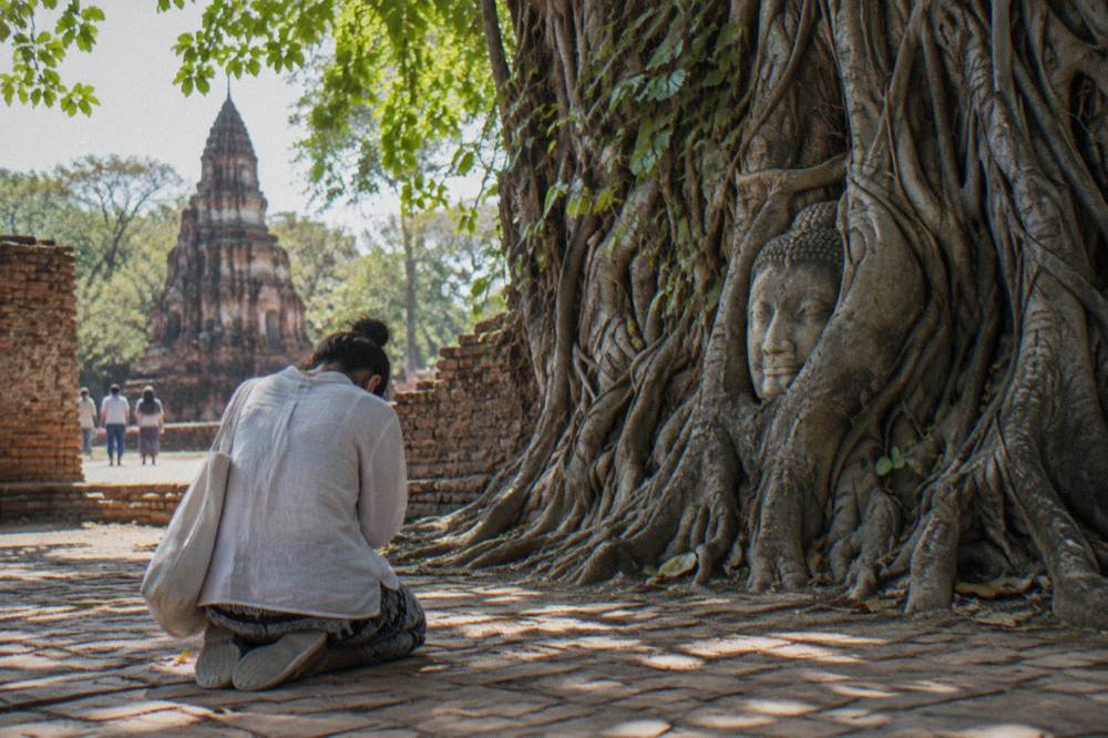 Visitor kneeling on the ground beside a stone Buddha head held in tree roots
